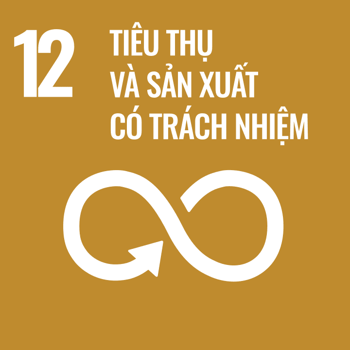 sdg 12