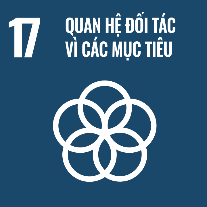 sdg 17