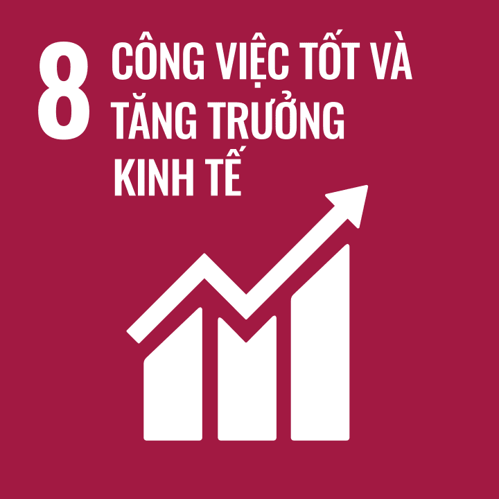 sdg 8